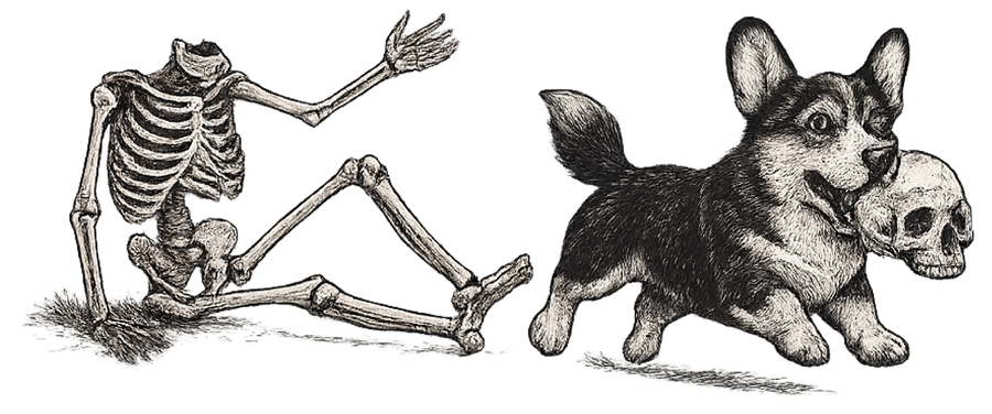 Lost Your Head - Cardigan Corgi