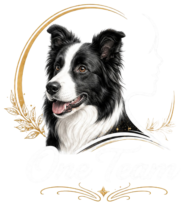 One Team - Border Collie