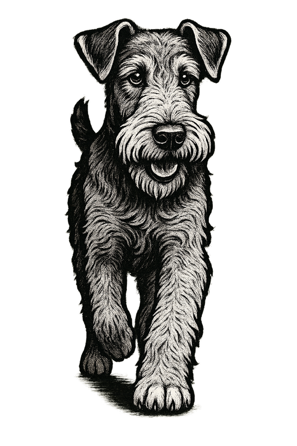 Airedale Pencil Sketch