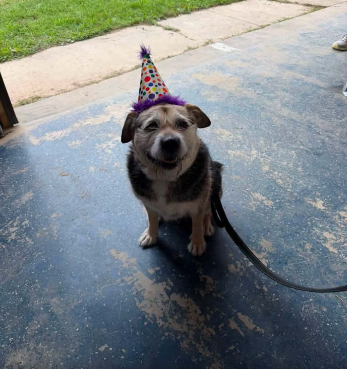 Birthday girl