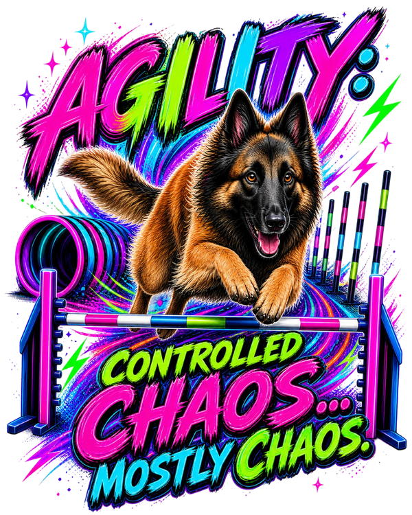 Agility: Controlled Chaos... Mostly Chaos - Belgian Tervuren