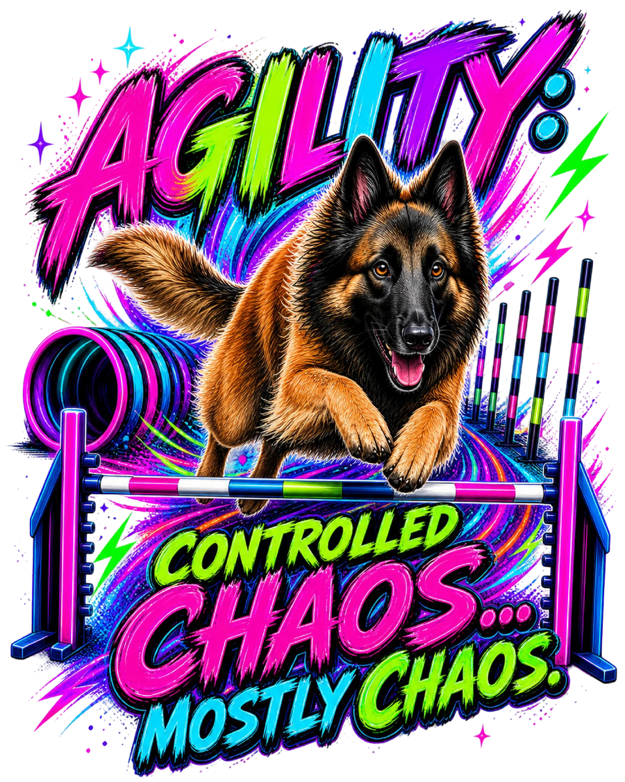 Agility: Controlled Chaos... Mostly Chaos - Belgian Tervuren