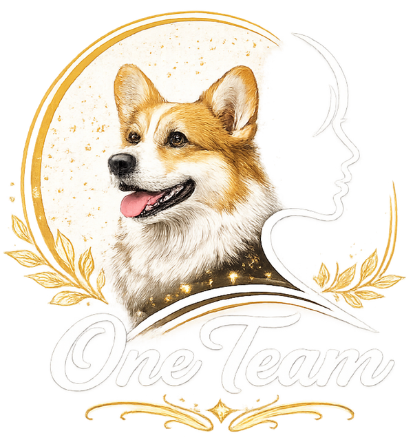 One Team - Corgi