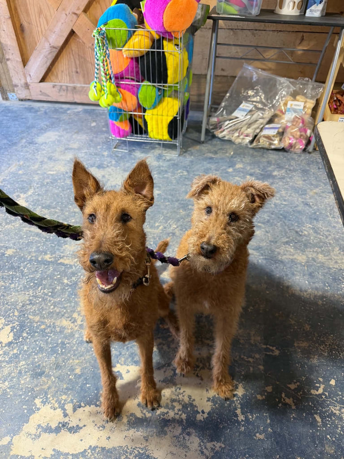 Double trouble