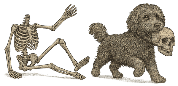 Lost Your Head - Gray Doodle