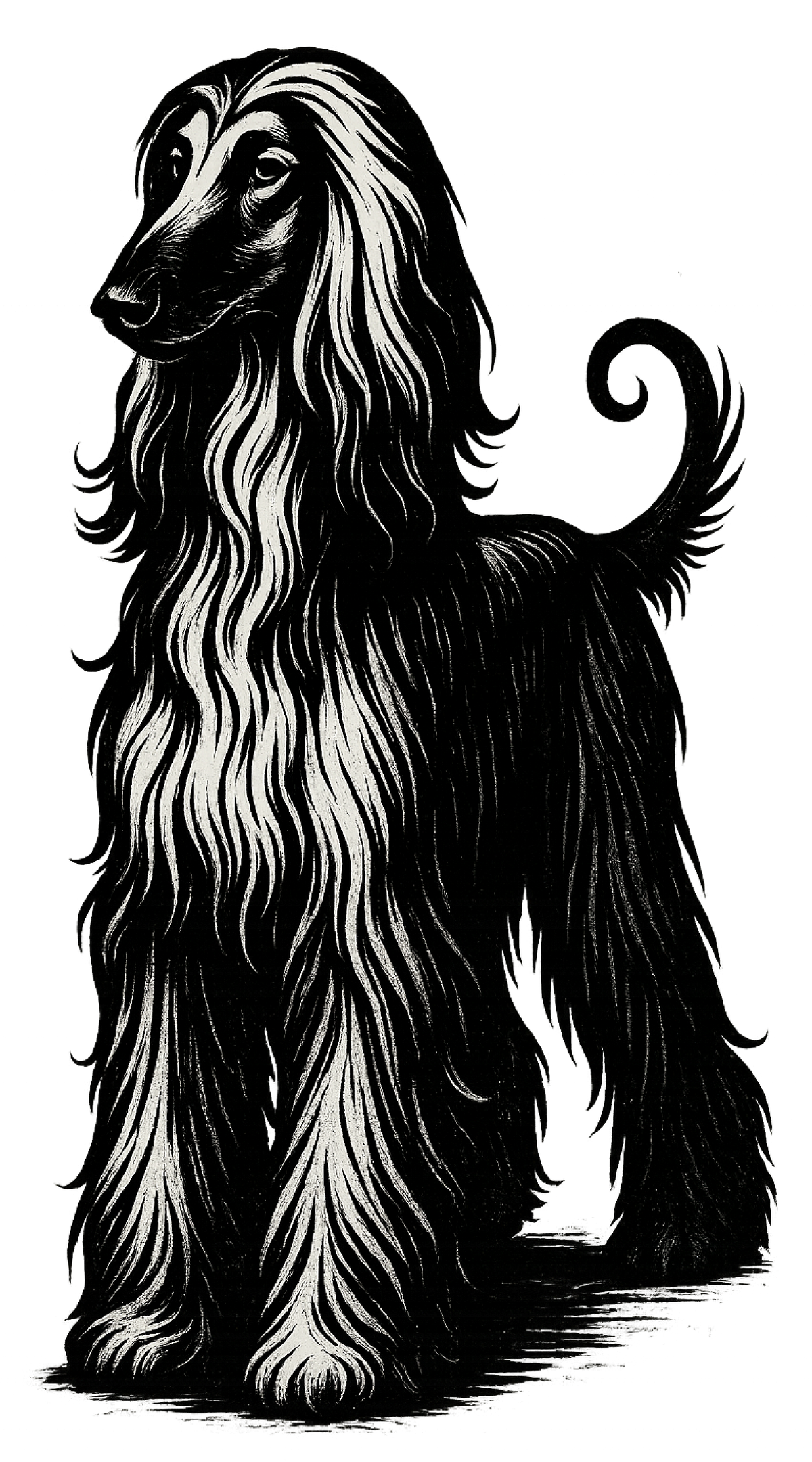 Afghan Hound Ink Sketch shirt design