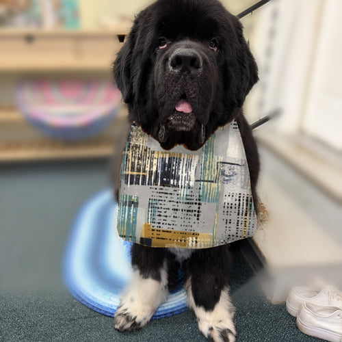 Newfoundland dog wearing the Gray Abstract / Navy Basketweave drool bib
