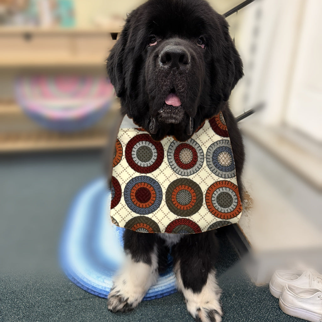 Newfoundland dog wearing the Penny Circles / Navy Basketweave drool bib