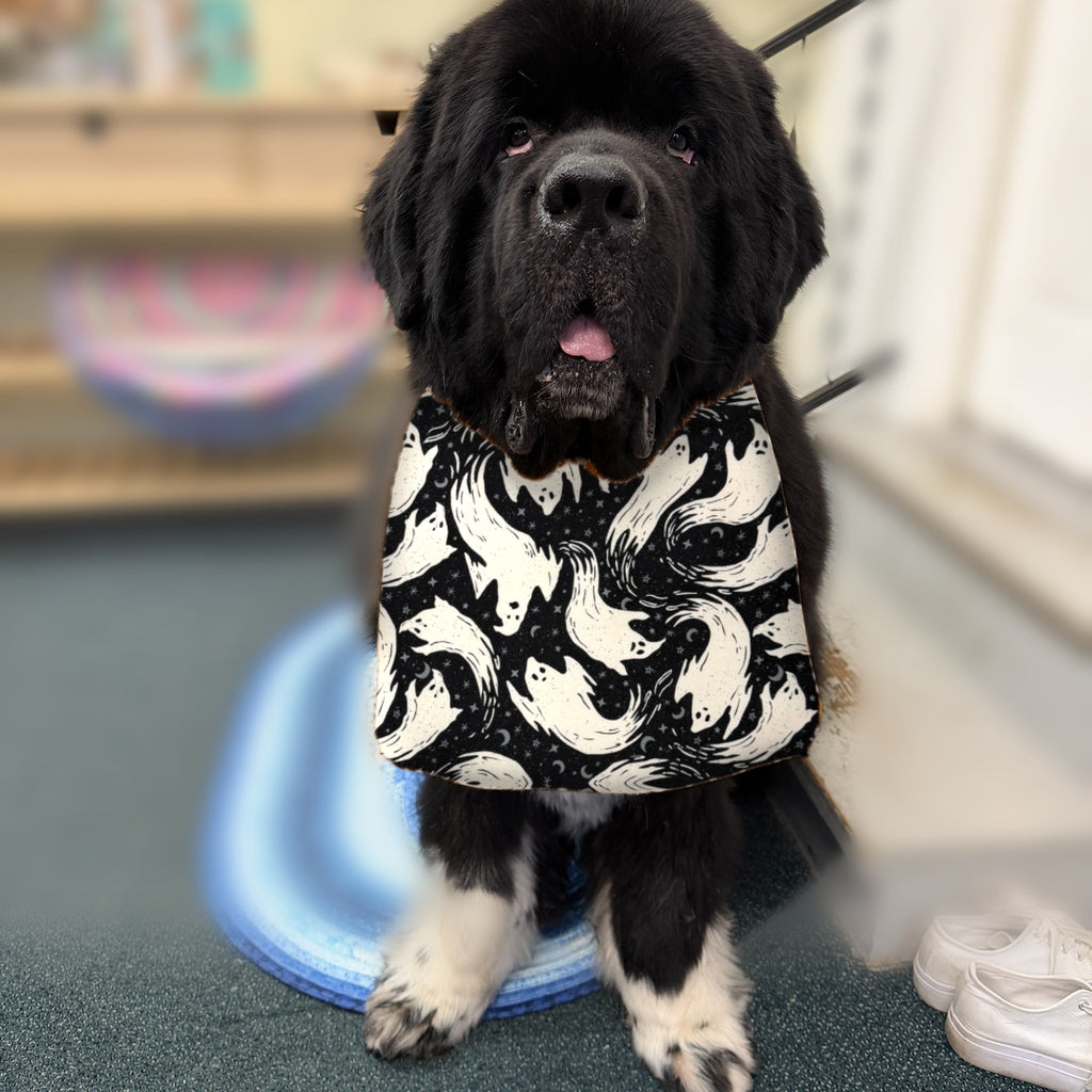 Newfoundland dog wearing the Black Ghosts / Cream Polka Dots drool bib