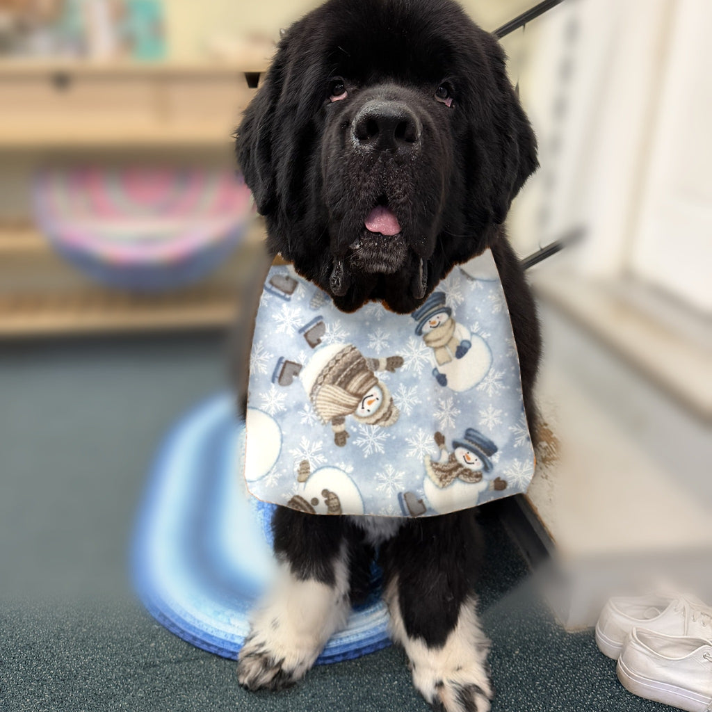 Newfoundland dog wearing the Skating Snowmen / Blue Snowflakes drool bib