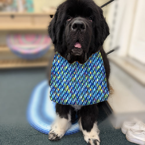 Newfoundland dog wearing the Blue Mosaic / Solid Blue drool bib