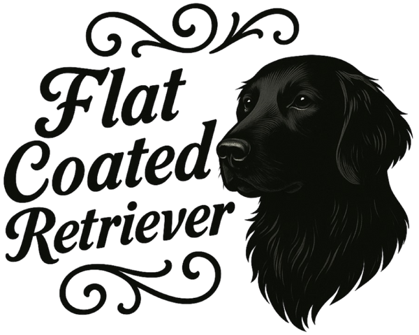 Flat-Coated Retriever Portrait & Script