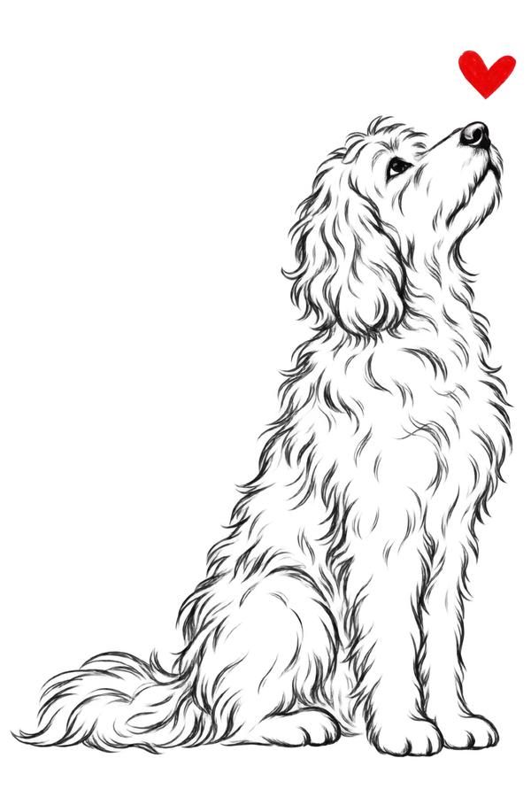 Goldendoodle Heart