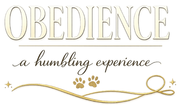 Obedience: A Humbling Experience