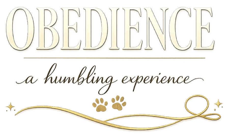 Obedience: A Humbling Experience