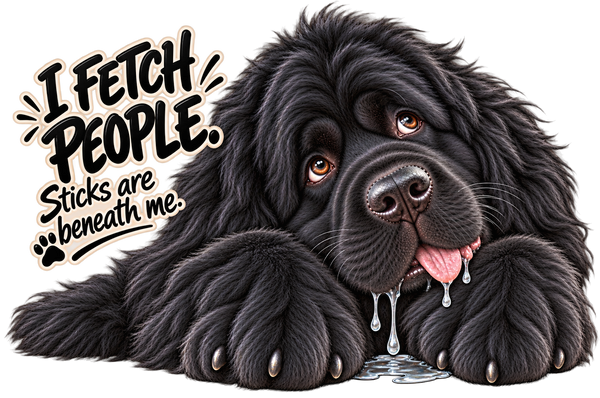 I Fetch People