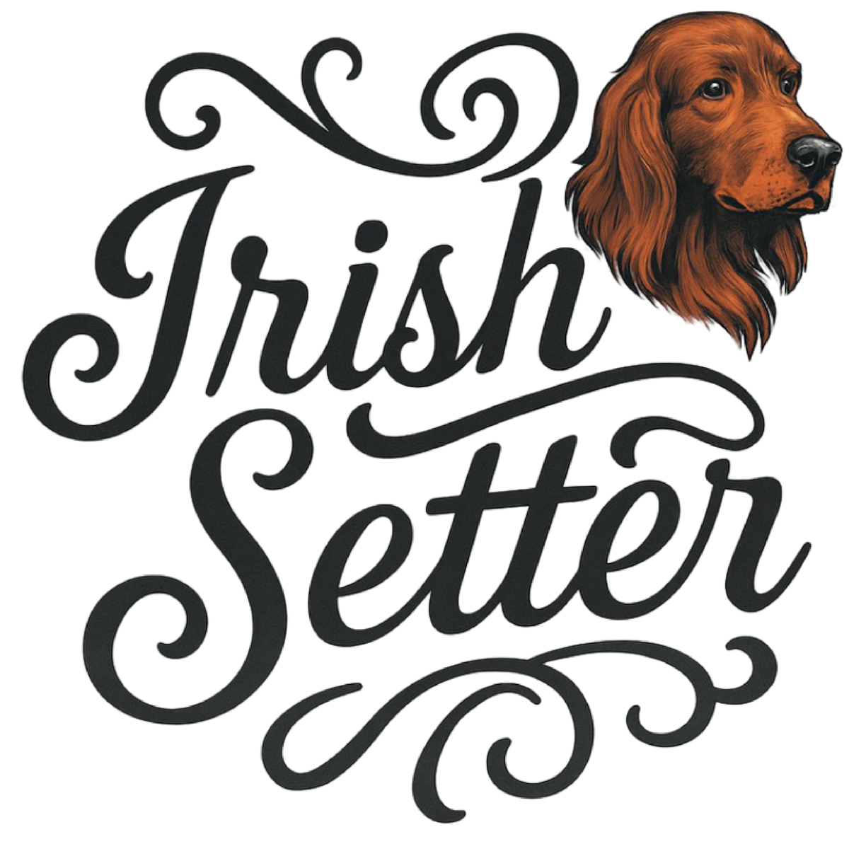 Irish Setter Portrait & Script shirt design