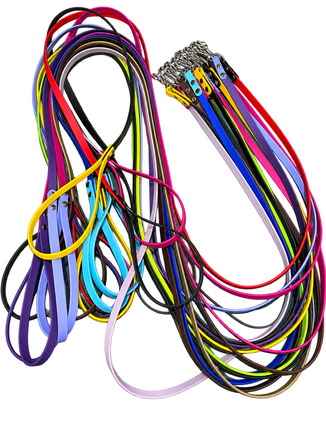 Handmade biothane leashes in assorted colors