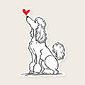 Poodle Heart Decal - Poodle with a red heart, die-cut vinyl sticker
