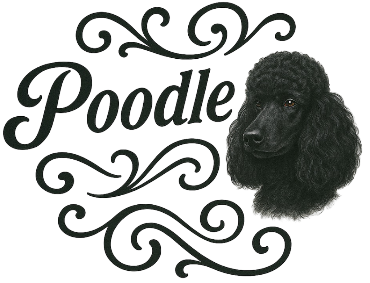 Poodle Portrait & Script shirt design