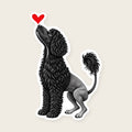 Portuguese Water Dog Heart Decal - black Portie with a red heart, die-cut vinyl sticker