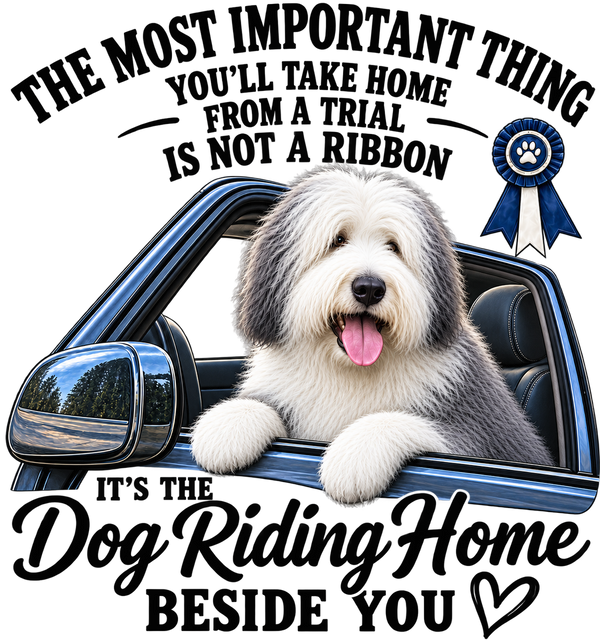 The Dog Riding Home Beside You - Sheepdog