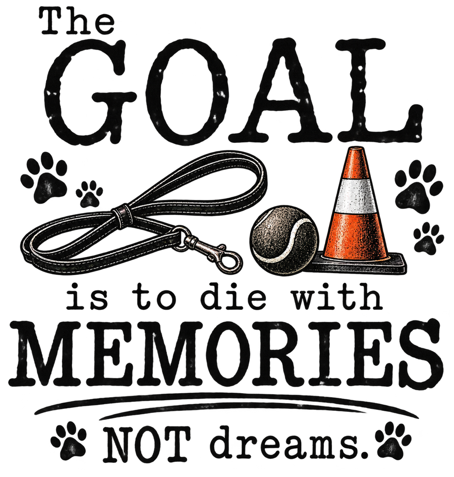 The Goal Is to Die with Memories, Not Dreams