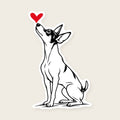 Toy Fox Terrier Heart Decal - Toy Fox Terrier with a red heart, die-cut vinyl sticker