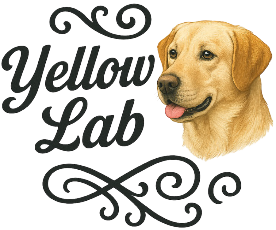 Yellow Lab Portrait & Script
